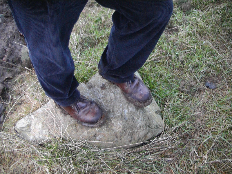 Ken - Paddock Stomping Boots