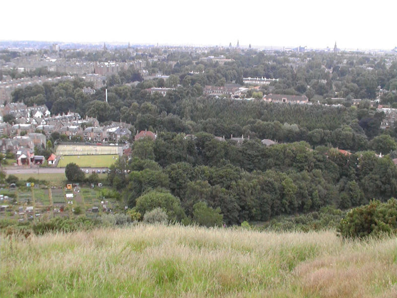 Cluny Gardens & Allotments from Blackford Hill