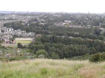 Cluny Gardens & Allotments from Blackford Hill